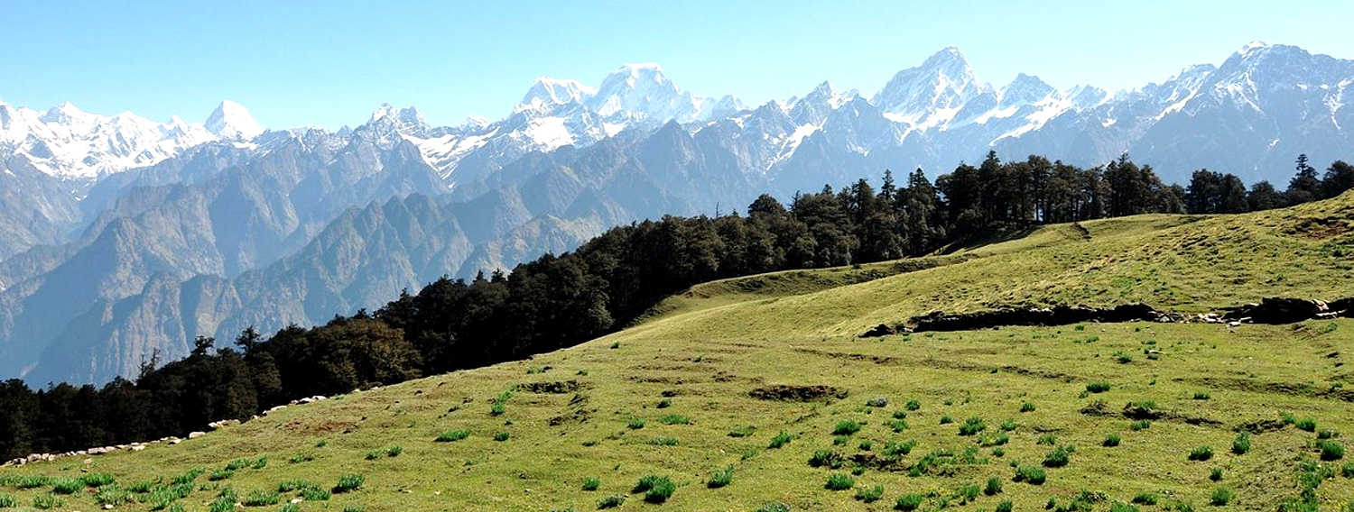 GMVN Auli Nanda Devi Eco Tourist Resort - Auli-Gorson Bugyal Trek